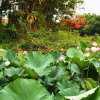 Отель Poolvilla Chiangmai, фото 46