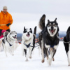 Отель Star Arctic Hotel, фото 15