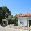 Отель Zeytin Dali Butik Otel, фото 1