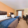 Отель Comfort Inn & Suites, фото 5