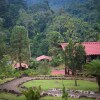 Отель Pacuare River Lodge, фото 3