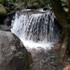 Отель Rio Celeste Family Lodge, фото 10