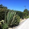 Отель Apartment With 3 Bedrooms in Sagres, With Balcony and Wifi - 800 m From the Beach в Вила-Ду-Бишпу