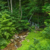 Отель Streamside 4 Bedroom House, фото 17
