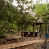 Отель Casa Cenote Popol Vuh, фото 7
