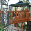 Отель Pine Rose Inn, фото 3