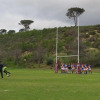 Отель Stellenbosch Rugby Academy - Hostel, фото 4