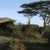 Отель Lemala Tarangire Camp, фото 4