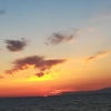 Отель On Holiday Between Sky And Sea Geco Di Campiglia pet Friendly big Garden, фото 17