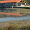 Отель Apartamentos Cantabria - La Caseta, фото 25