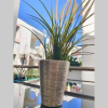 Отель Polychrono New 2 Bedroom Apt. Just By The Sea!, фото 18