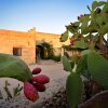 Отель Masseria Le Pezzate, фото 1