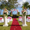 Отель Turtle Beach by Elegant Hotels – All-Inclusive, фото 21
