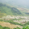 Отель Saigonese Trekking House - Hostel, фото 35