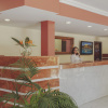 Отель Apartamentos Atlantic Garden Beach Mate, фото 26