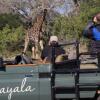 Отель Mavela Game Lodge, фото 8