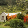 Отель Spetts Cottage, фото 17