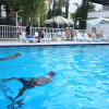 Отель Haile Hotel Shashemene, фото 9