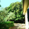 Отель Comfortable Holiday Home In Castiglioncello With Garden, фото 8