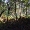 Отель Unique Luxury Cabin Next to Ancient Woodland, фото 16