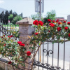 Отель Vila Jadran, фото 24