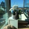 Отель Apartment With 4 Bedrooms In Miengo, With Wonderful Sea View, Furnishe, фото 5