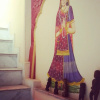 Отель Jodhpur Heritage Haveli Guest House, фото 8