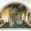 Отель LUlivo Bed and Breakfast, фото 7