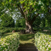 Отель Luxury Villa near Lucca-VILLA MATTEI, фото 19