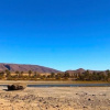 Отель Amoudou Lodge Camp, фото 15