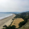 Отель Stinson Beach Redwoods Haus, фото 6