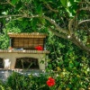 Отель Villa Nissaki, фото 17