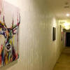 Отель Deer Moon Hostel, фото 2
