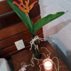 Отель Pousada Vila Anaua, фото 29