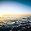 Отель Oosterschelde, фото 11