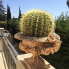 Отель Lousoan, фото 31