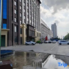 Отель Vienna International Hotel, фото 9