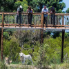 Отель Tenikwa Nature Lodge and Family Suites, фото 23