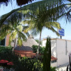 Отель Palapa Palace, фото 15