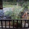 Отель Villa Honey Robert, фото 7