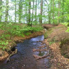 Отель Heimdallhuset, фото 13