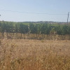 Отель Casa di Campagna, фото 8