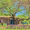 Отель Casita La Brea, фото 10