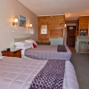 Отель Aspiring Lodge Motel, фото 3