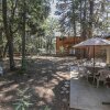 Отель Beary Necessary-1679 by Big Bear Vacations, фото 16