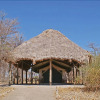 Отель Whistling Thorn Tented Camp, фото 6