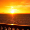 Отель La Punta Resort, фото 9