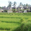 Отель Onje Villa Ubud Bali, фото 17