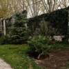 Отель Потрясающая вилла с собственным бассейном недалеко от центра Еревана, фото 20