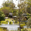 Отель Botterkloof Resort, фото 21